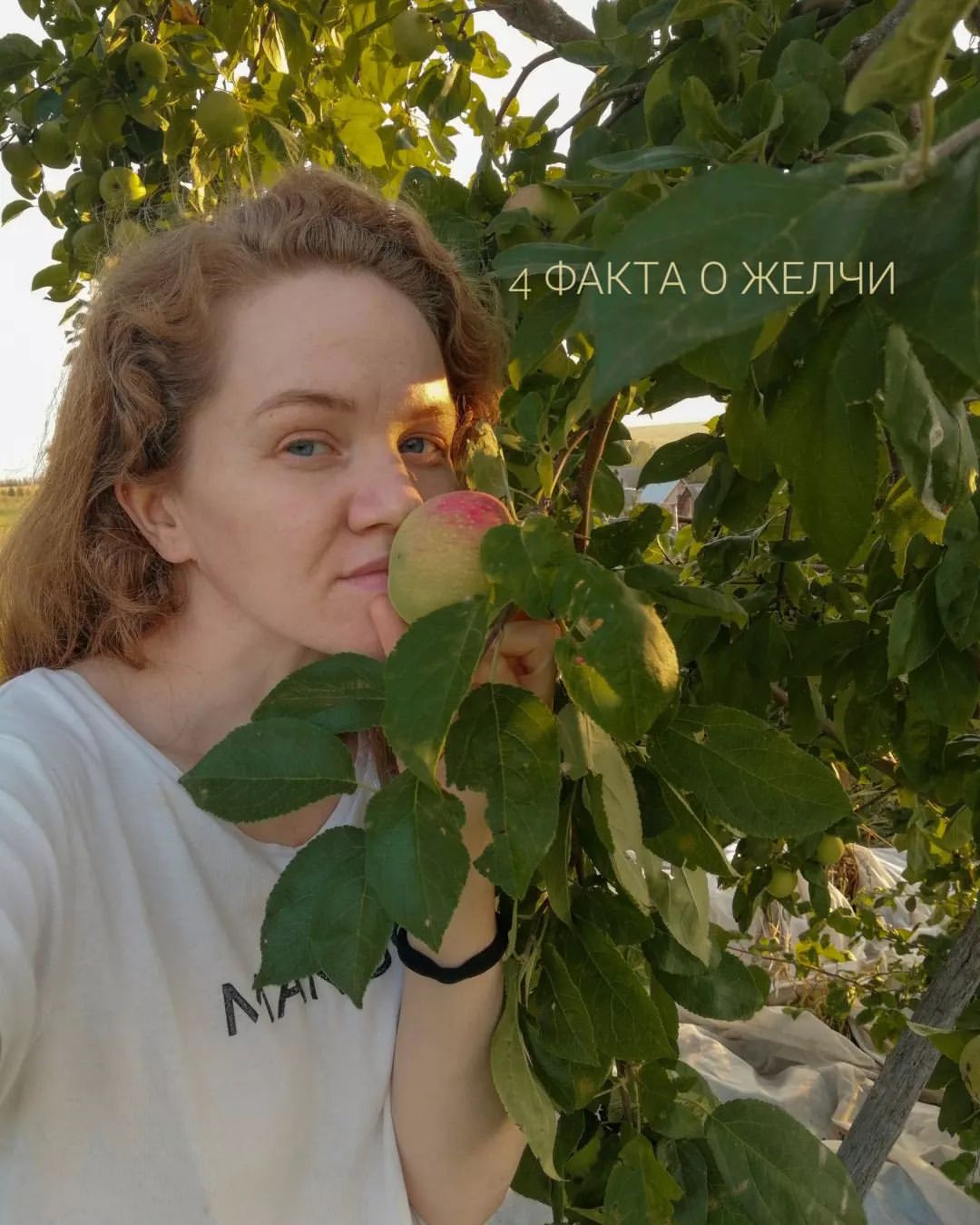 4 важных факта о ЖЕЛЧИ.

1. ЖЕЛЧЬ вырабатывается в печени. Главные труженики - гепатоциты (клетки печени).
От них желчь поступает во ВНУТРИПЕЧЕНОЧНЫЕ, а потом во внепеченочные протоки, и далее... в двенадцатиперстную кишку или же накапливается в желчном пузыре.

2. ЖЕЛЧЬ на 90 % состоит из ВОДЫ. 
Поэтому так важно пить достаточное количество чистой воды. ЖЕЛЧЬ должна быть жидкой.
Мало воды➡️Сгущение ➡️ взвесь➡️ камни

3. Важная функция желчи - выделительно-детоксицирующая. Благодаря ей из организма удаляются желчные пигменты, излишки кальция, фосфора лекарственные вещества, ядохимикаты и другие.

4. ЖЕЛЧЬ это регулятор работы всего желудочно-кишечного тракта. Влияет на перистальтику кишки, на выделение пищеварительных ферментов, переваривание жиров, всасывание витаминов А, D, E, K, регулирует состав кишечной микрофлоры и другое

#желчь
#желчныйпузырь
#биохакинг
#зож
#здоровье
#жкт