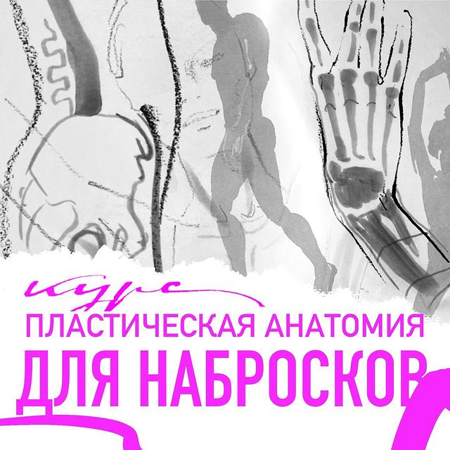 myaso.art в LOOKY. #курспоанатомии,#курсдляхудожников,#анатомиядляхудожников,#наброски,#coursesdrawing,#курсырисования,#курсырисованиядлявзрослых,#курсырисованияонлайн. Друзья, спешу сообщи...