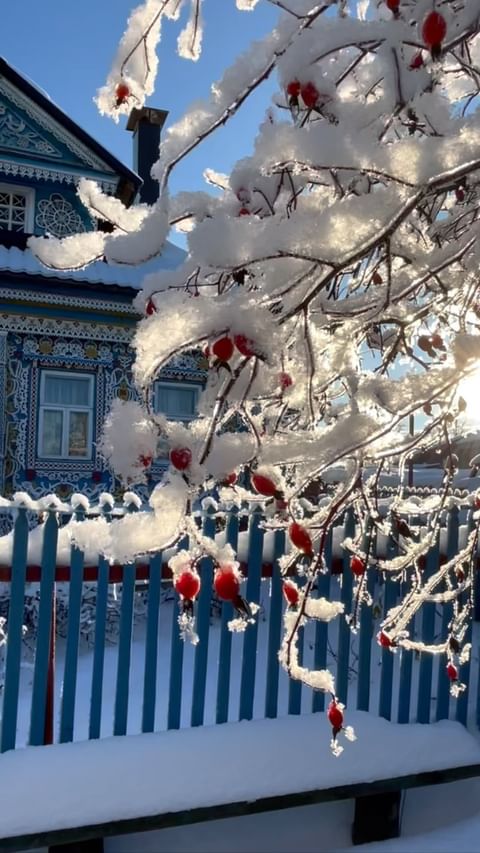 julia_lisina в LOOKY. . Winter fairytale