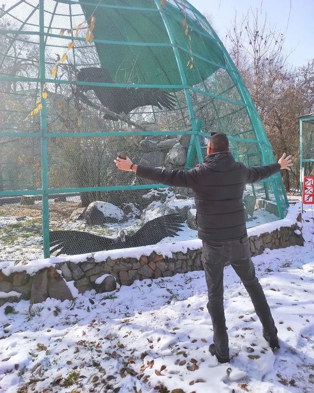shamil_inst в LOOKY. . 🦅