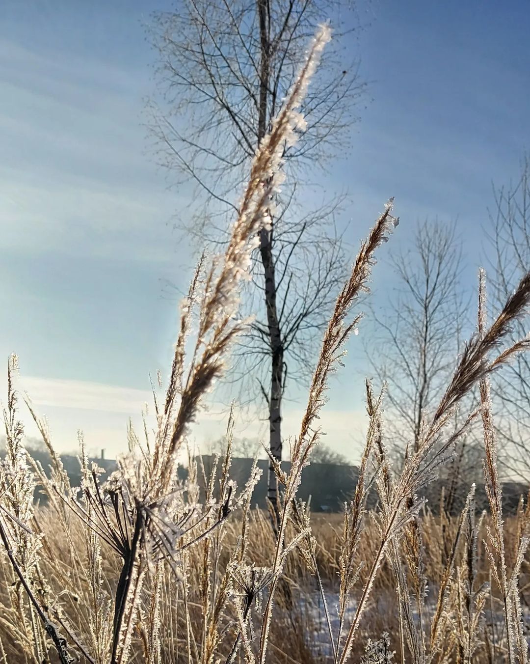 art_comfort в LOOKY — фото 5