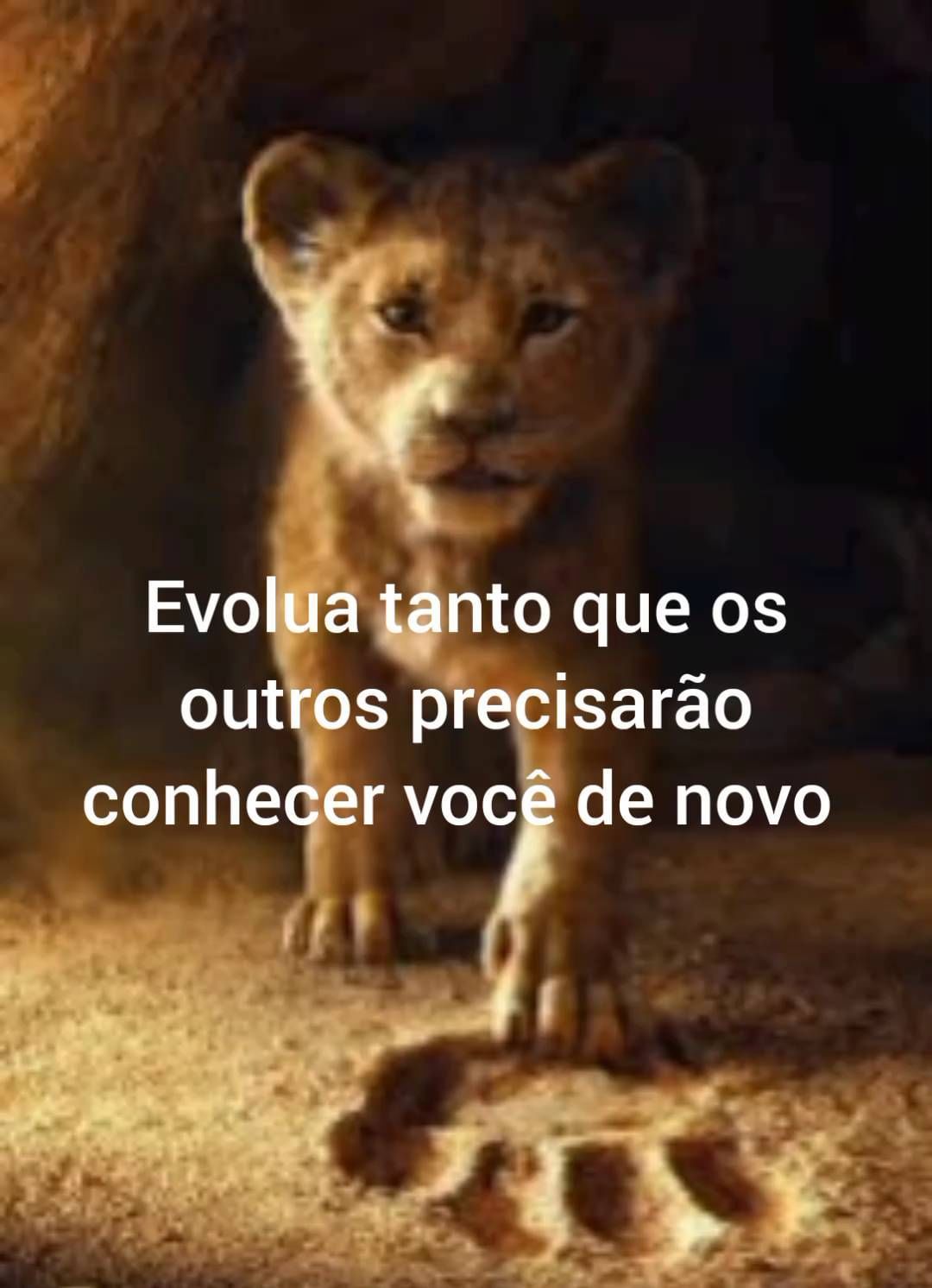 joao_araujo_cassini в LOOKY. #motivação,#foco,#objetivo,#sucesso,#sonhos,#mentemilionaria,#jornada,#fé. 🚀🏆📊🍷
#motivação ...