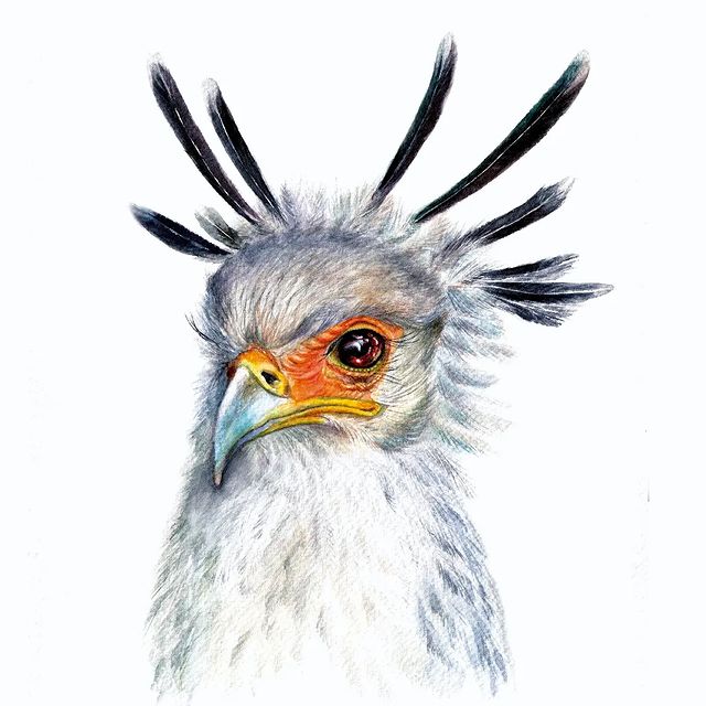 helenalynx в LOOKY. . Буду разбавлять ваши...