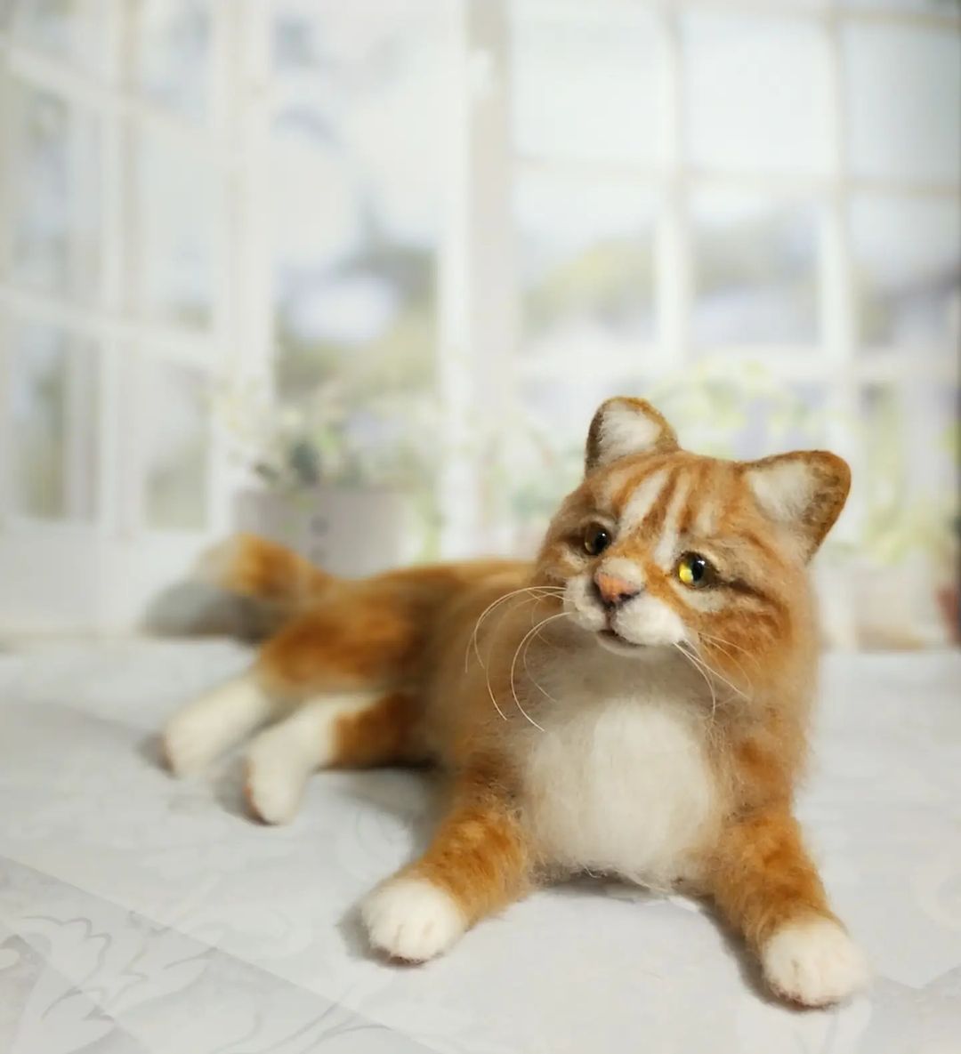 elenatoyslvova в LOOKY — Этот кот чётко знал, каким ему рождаться 😉😻
И  что бы я с 