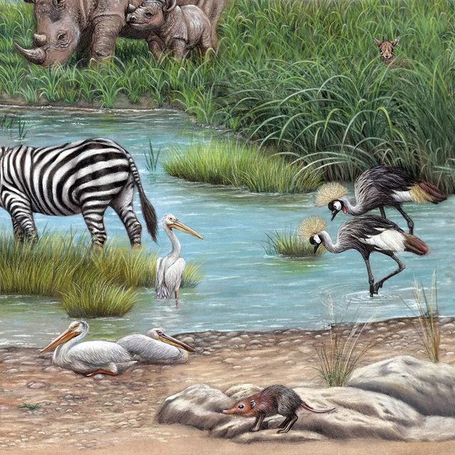 helenalynx в LOOKY. #pastelmat. Показ Маньяры объявл...