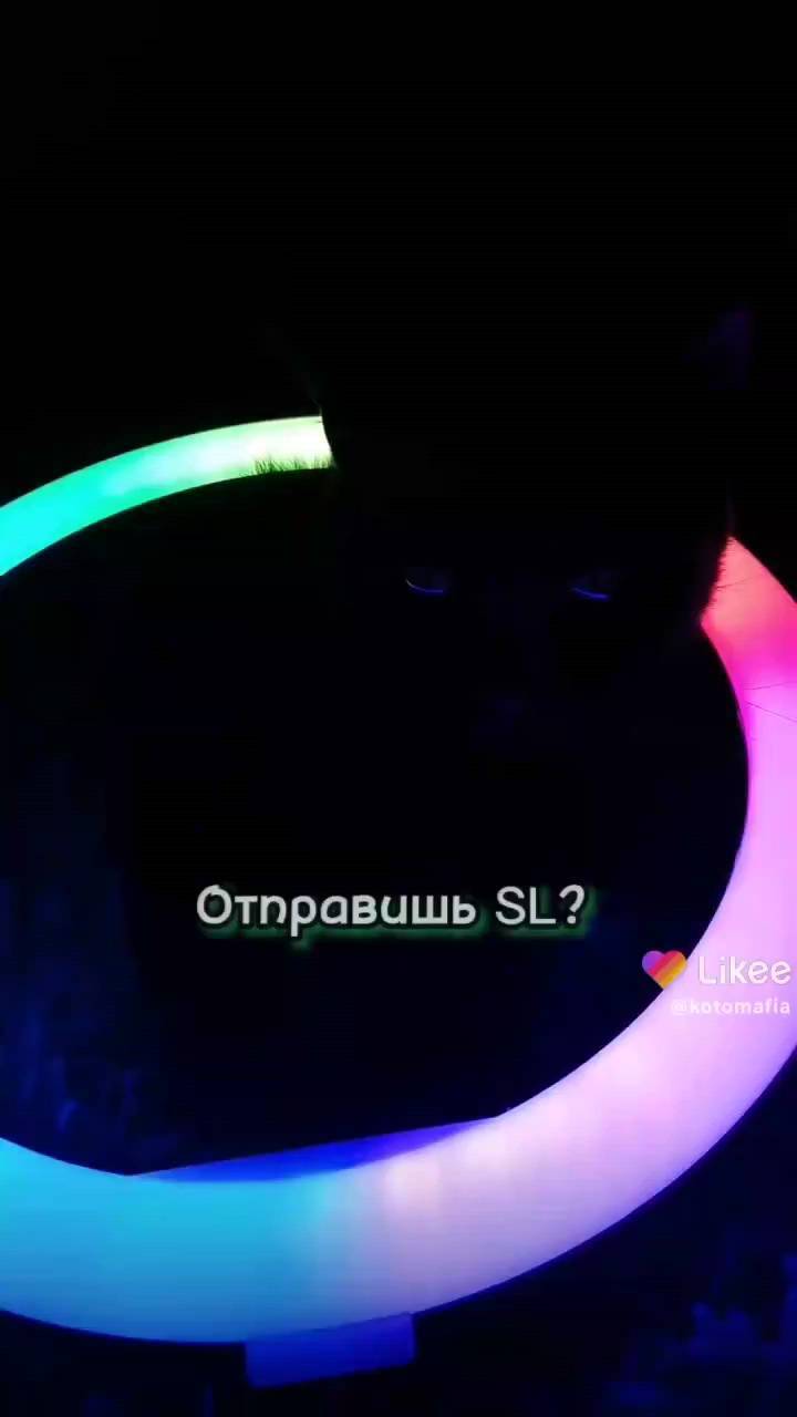 bureninnikolaj4 in LOOKY. . null