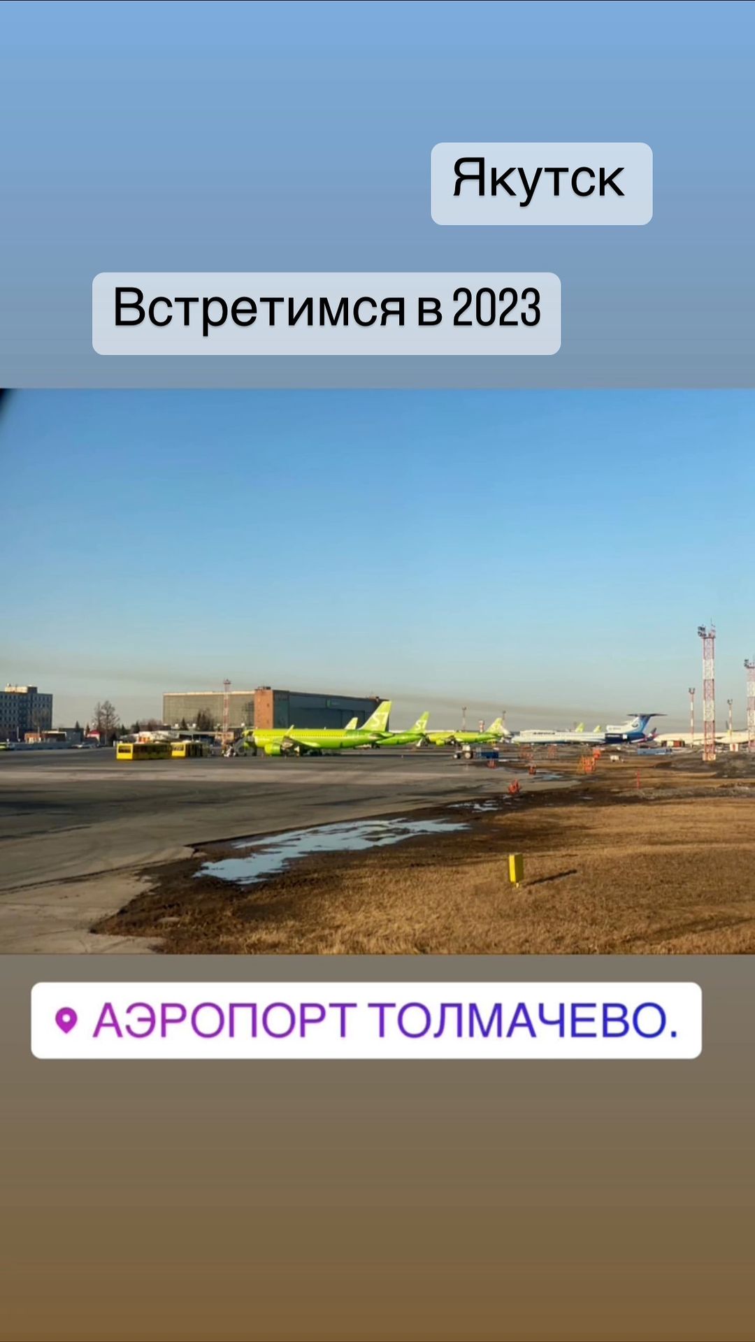 danilov____ в LOOKY. . null