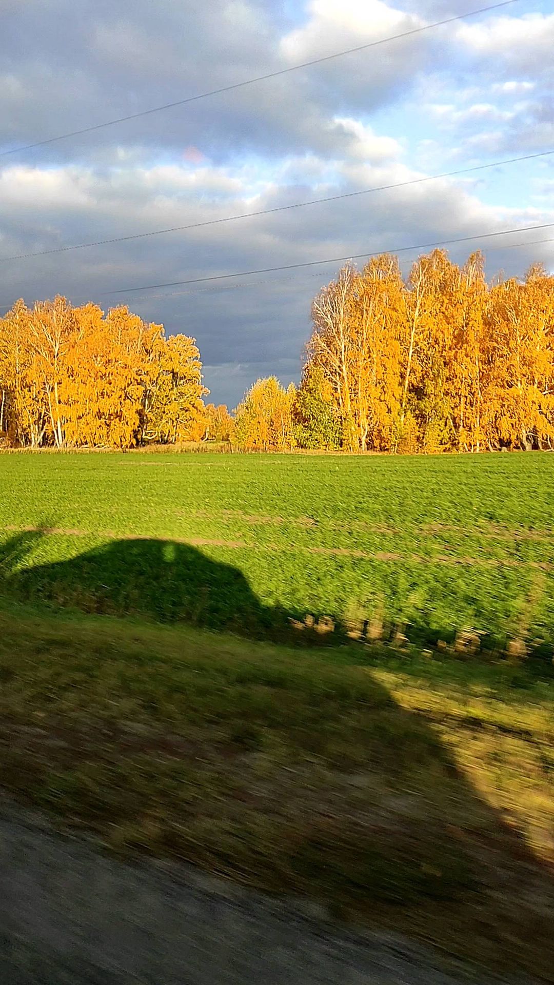 levitann_ в LOOKY. #autumn. — И всё равно это гн...