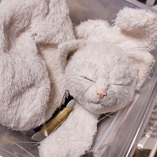 Куклы и Тедди в подарок in LOOKY. . Вот такой котик рожд...