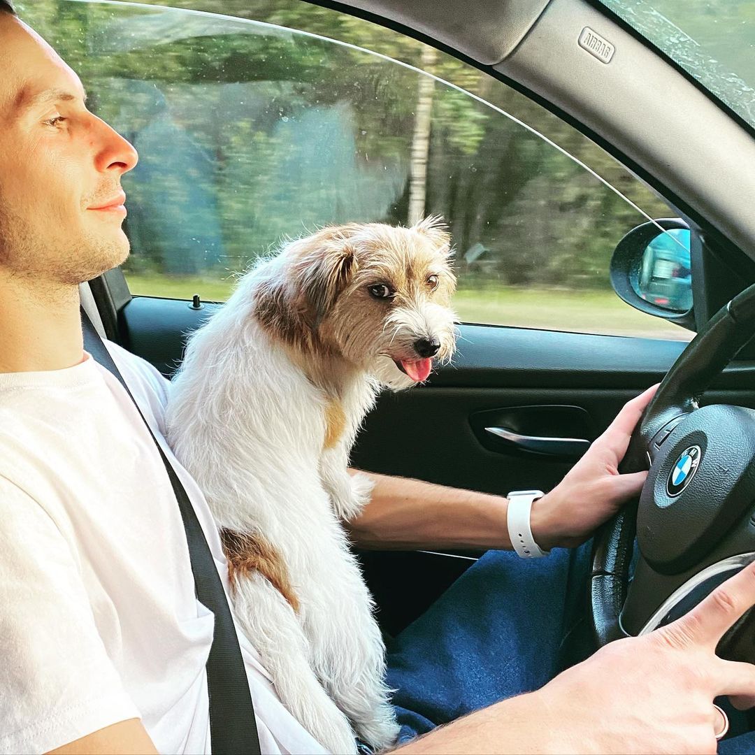 mr_redima95 в LOOKY — 🐶
