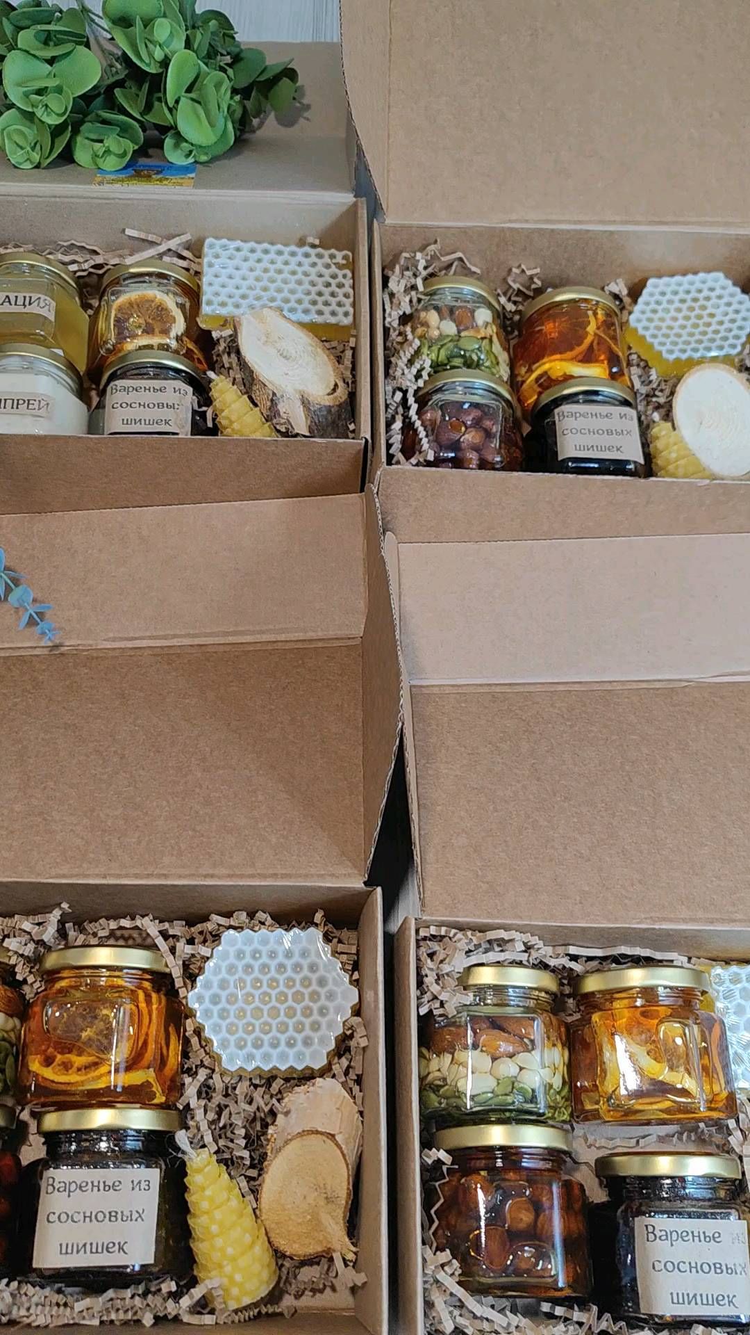 honey_from_a_bear in LOOKY. . null