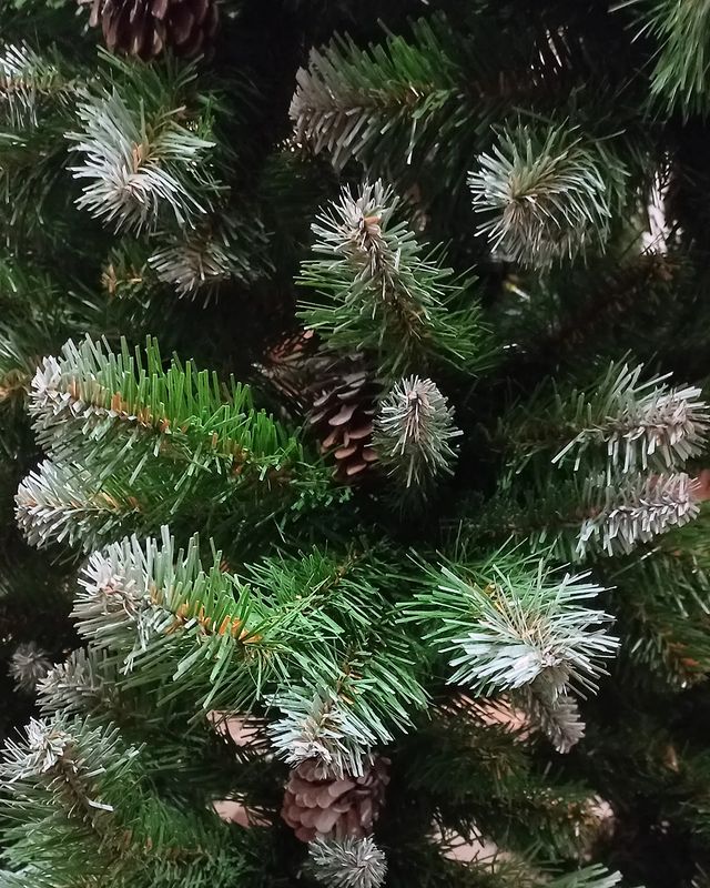 v.nekrasova21 в LOOKY. . 🎄❄️☃️ "Давай с тобо...