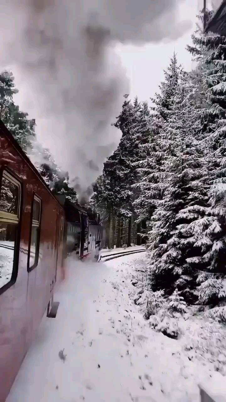 dino_selimi в LOOKY. #train,#snow,#watching,#follow. #train #snow #watchi...