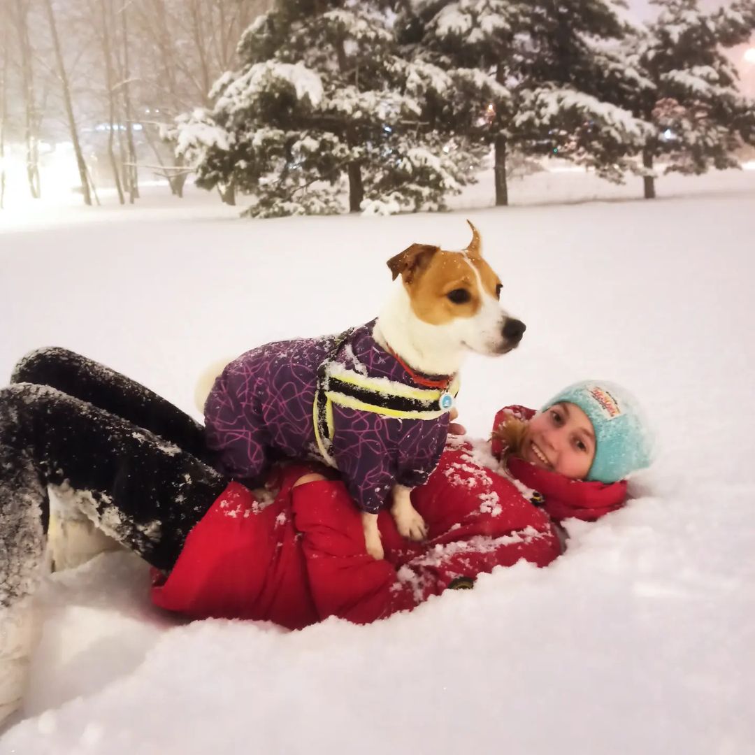 Охраняю свою хозяйку

#джекионитакие🐕 #джекрасселтерьер