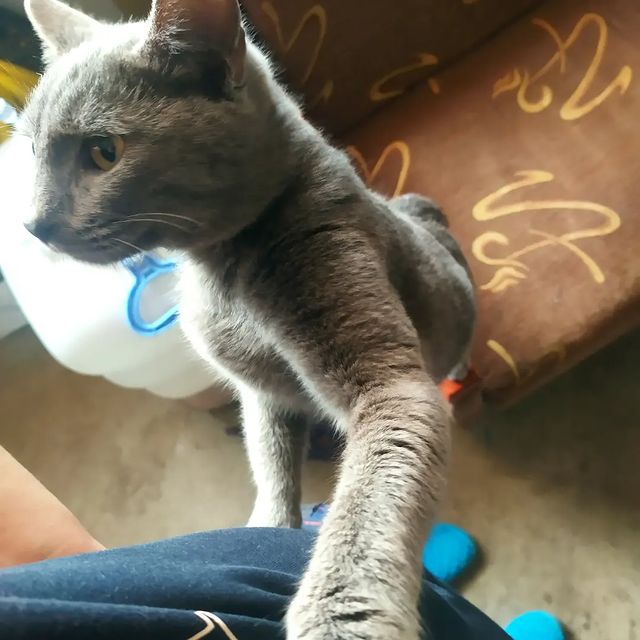 chizhochek в LOOKY. . У нас пополнение, Ма...
