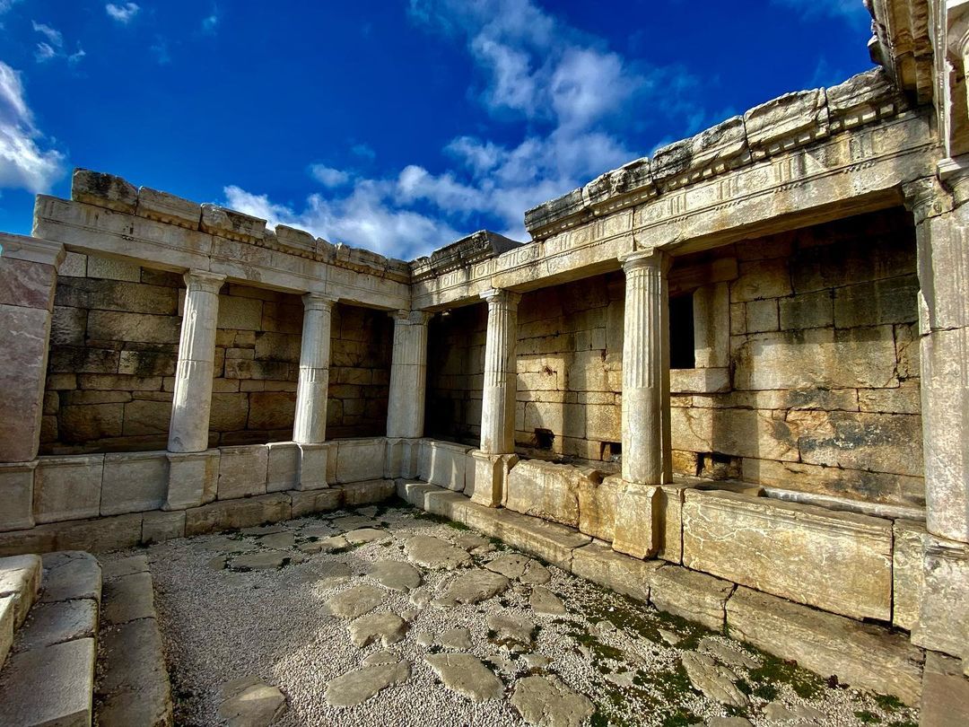 ercophotograph в LOOKY — фото 10