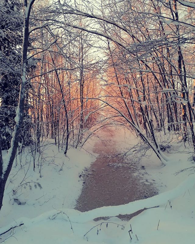 iskrovik_i в LOOKY. . Hyvää joulua!