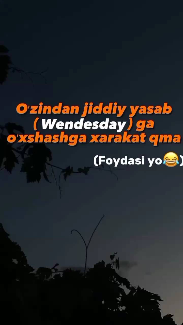 doniyorevna_09 in LOOKY. . null