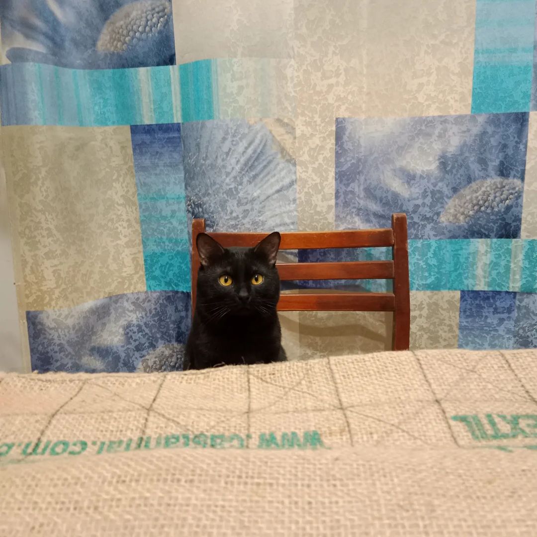 Мой помощник)))