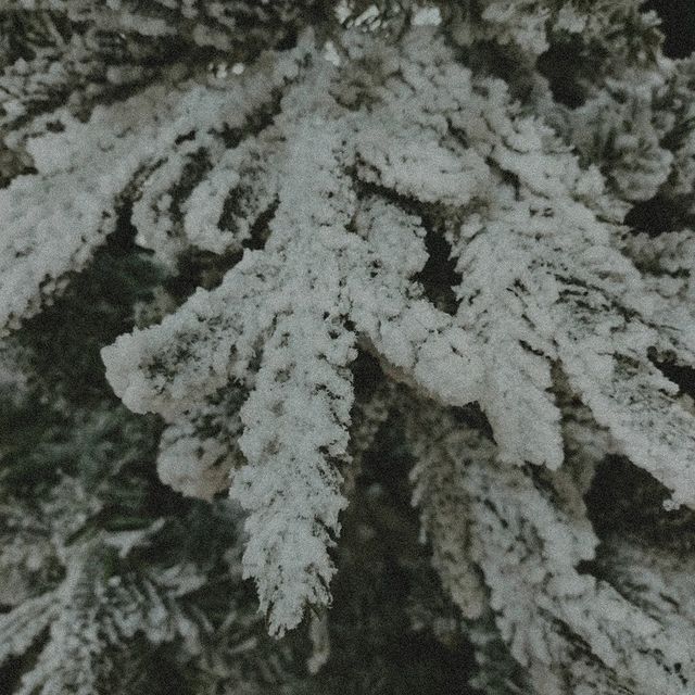 ne_prostoy_harakter.02 в LOOKY. #2022,#winter,#cold. 𝙼𝚢 𝚘𝚕𝚍 𝚐𝚛𝚊𝚗...