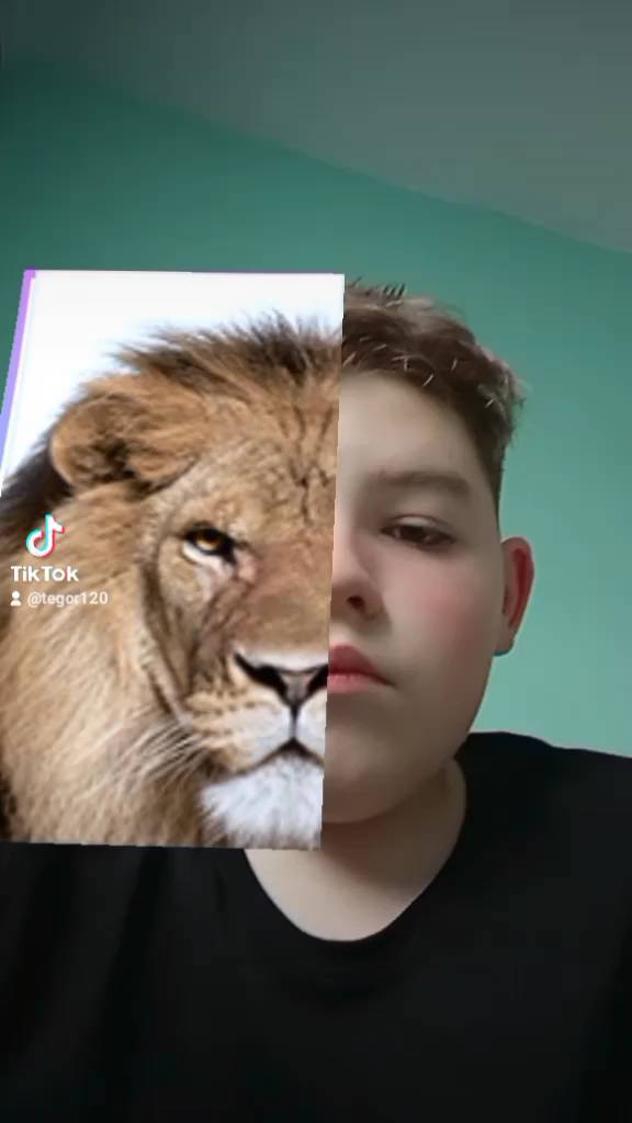 theloki357 in LOOKY. #video,#tiktok,#instagram,#instagood,#animals. Решил вылаживать не ...