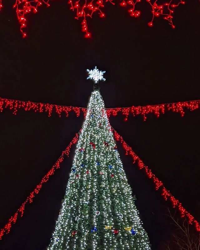 beast_coolfire в LOOKY. . null