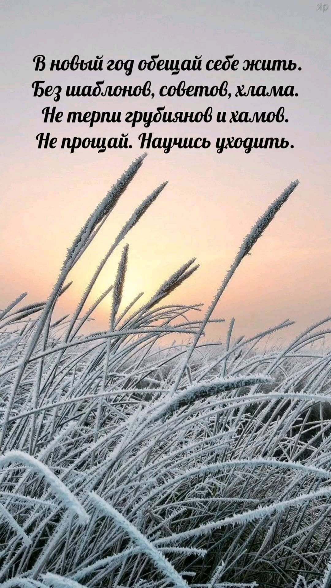 veda_ezo в LOOKY. #стихи,#новыйгод,#новыйгод2023,#праздник,#елка,#елкановогодняя,#зима,#поздравления,#любовь,#счастье,#понимание,#здоровье. Давайте в 2023 году,...
