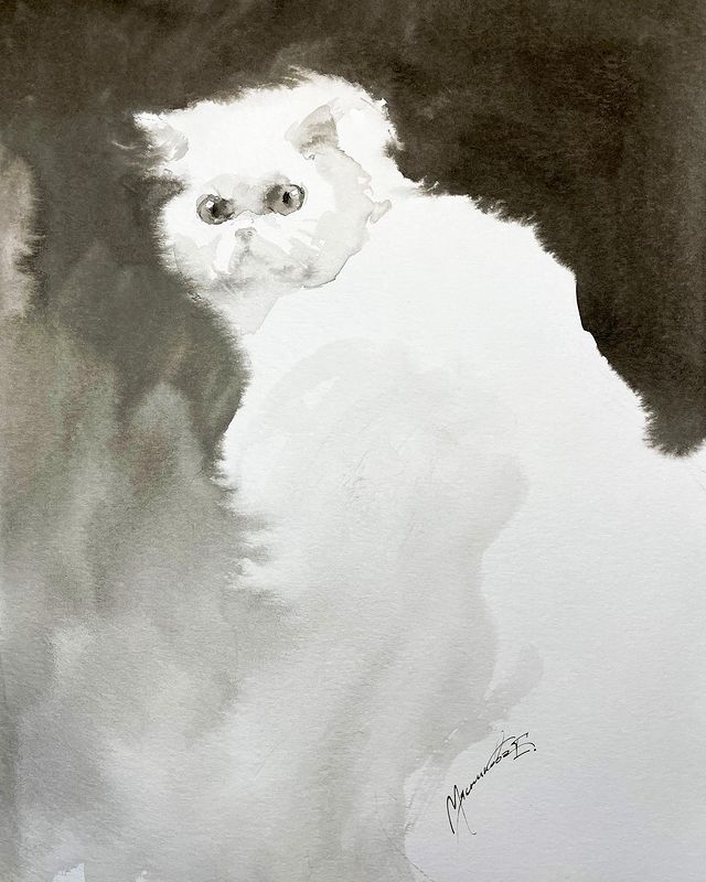 myaso.art в LOOKY. #рисуюкотиков,#котакварелью,#акварель,#акварельпосырому,#artink,#watercolor,#watercolour,#watercolorpainting,#watercolourpainting,#inkart,#catart,#акварельпомокрому,#blackandwhite,#blackandwhiteart,#blackandwhiteillustration,#годкота,#сновымгодом,#котик,#cat. В наступающем году к...