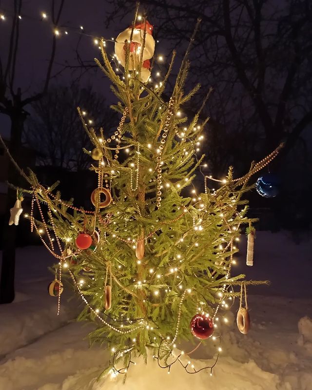 artboosdecor в LOOKY. . Ёлка Артбус, наряжал...