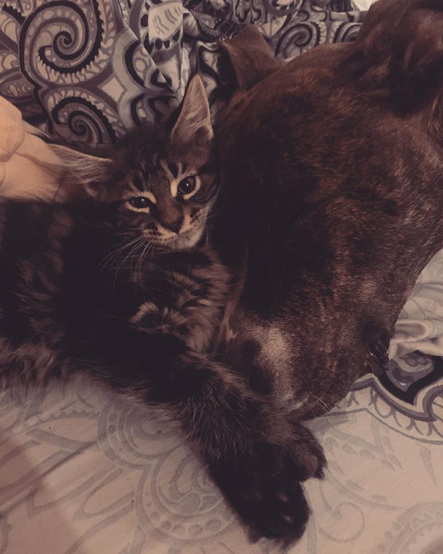 sidorova_kosa в LOOKY. . Lazy new year mornin...