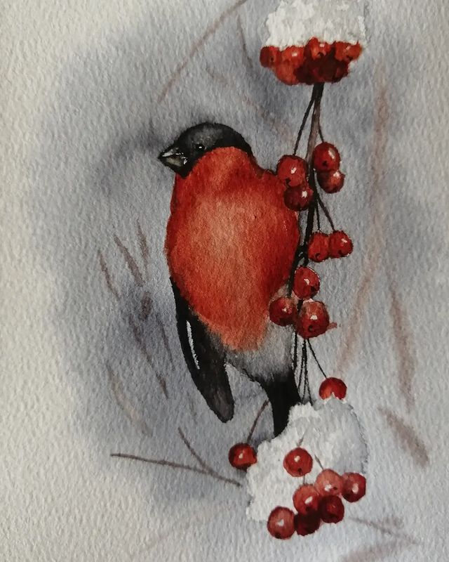anna_m_handmade в LOOKY. #учусьрисовать,#мечтай_и_рисуй,#most_art01_зарядка,#акварельнаязарядка,#акварель,#акварельныйэтюд,#зима,#артзима,#watercolorart,#art,#watercolor. Разминочка с @most_a...