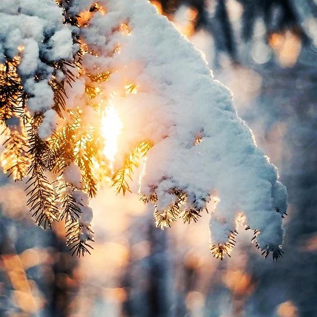 natascha_kobz3wa в LOOKY. . Закат.