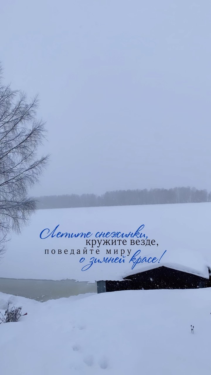 maria_pro_prazdnik в LOOKY. #волгазимой,#надаче,#волга,#никитское,#природа,#новыйгод2023,#январскиевыходныe. Красота  #волгазимой...