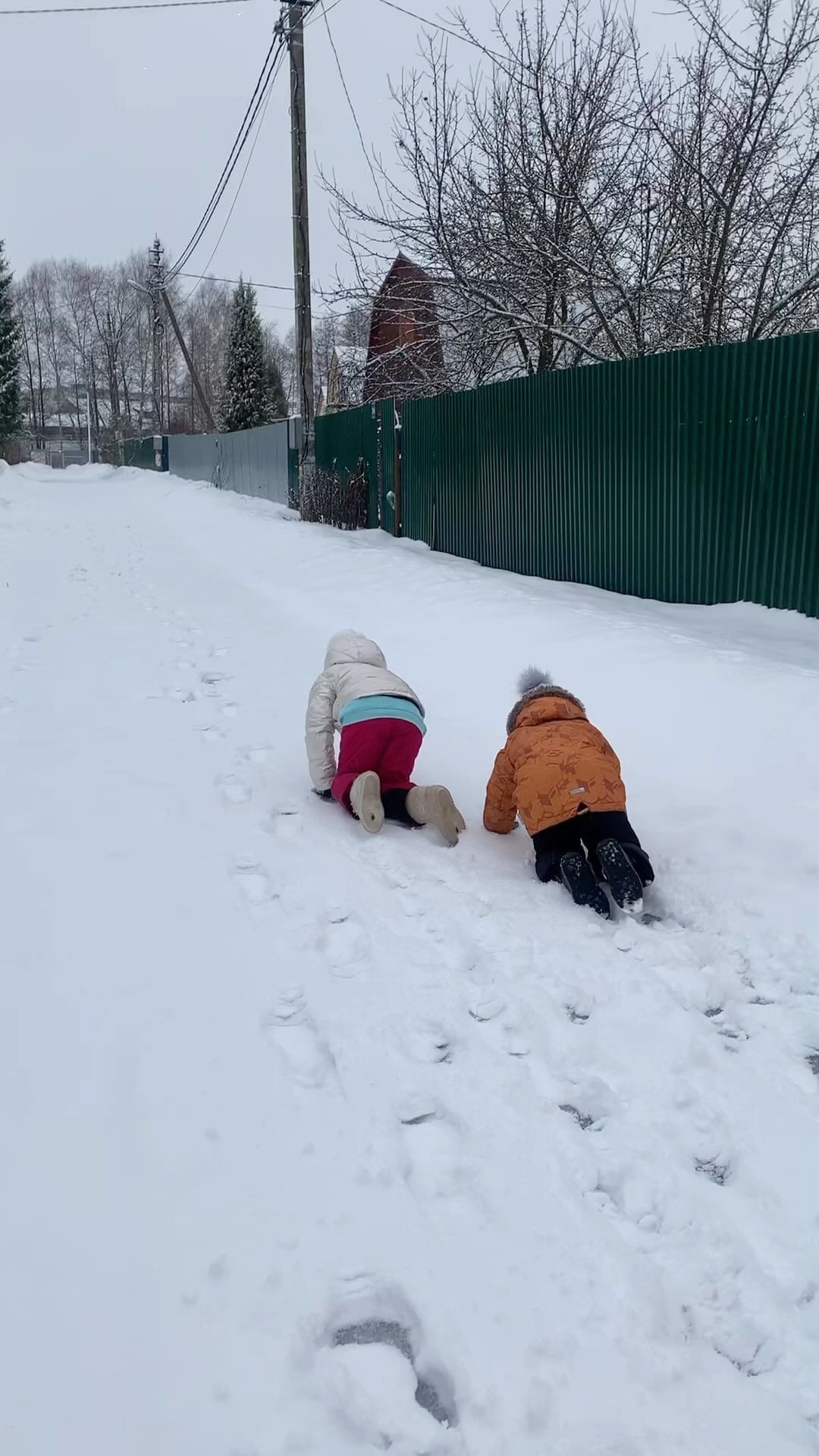 niki_nezumi в LOOKY. #дача,#нг,#дачанановыйгод. Передвигаться сейчас...