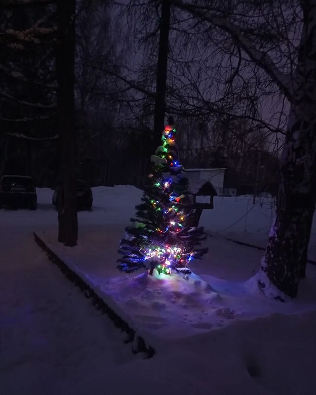 any.more_ в LOOKY. . null