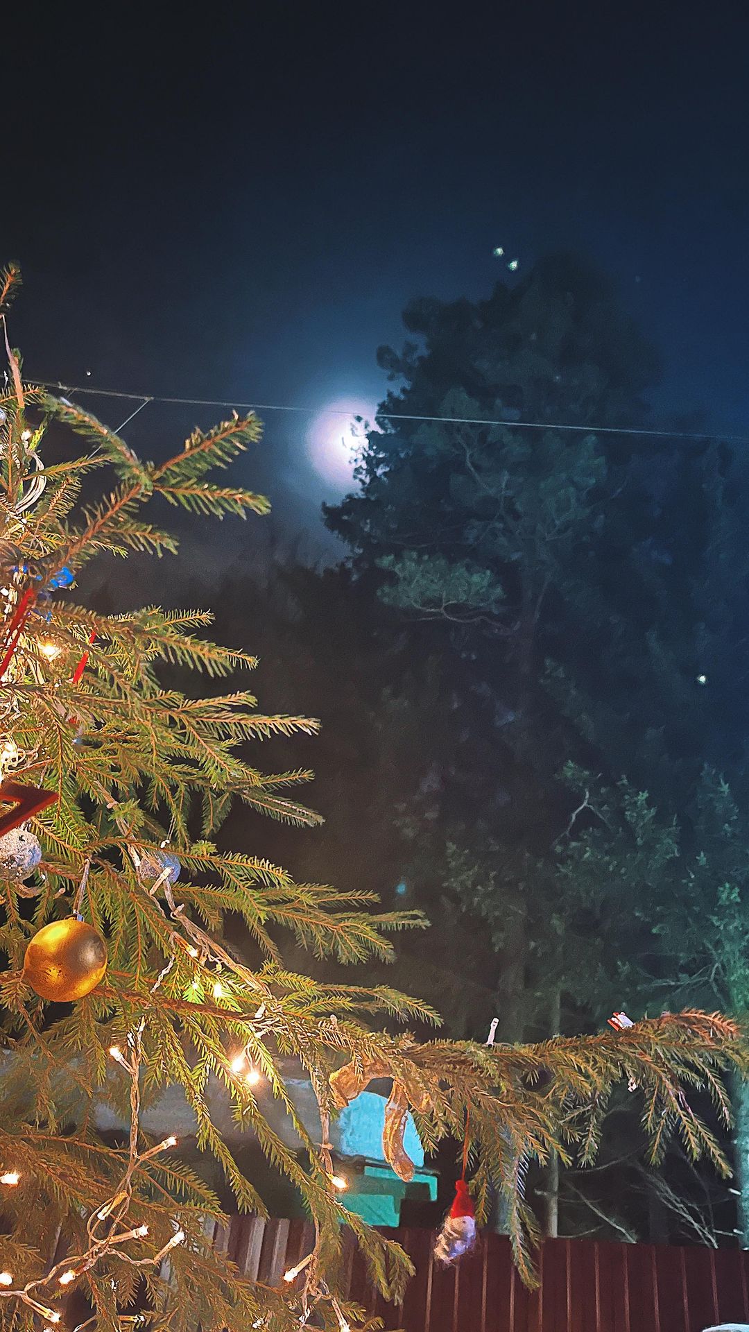 masha_kurpa4 в LOOKY. #2023,#новыйгод,#дача,#морозко. С Новым Годом!!! 🎄 ...
