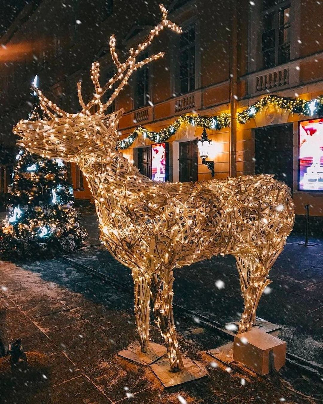 bartholomew_jo_jo в LOOKY — Оленятка на пл.Искусств