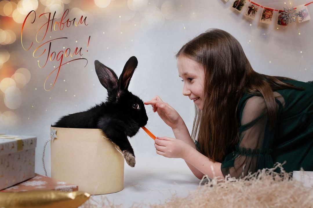 Новогодние фото-открытки