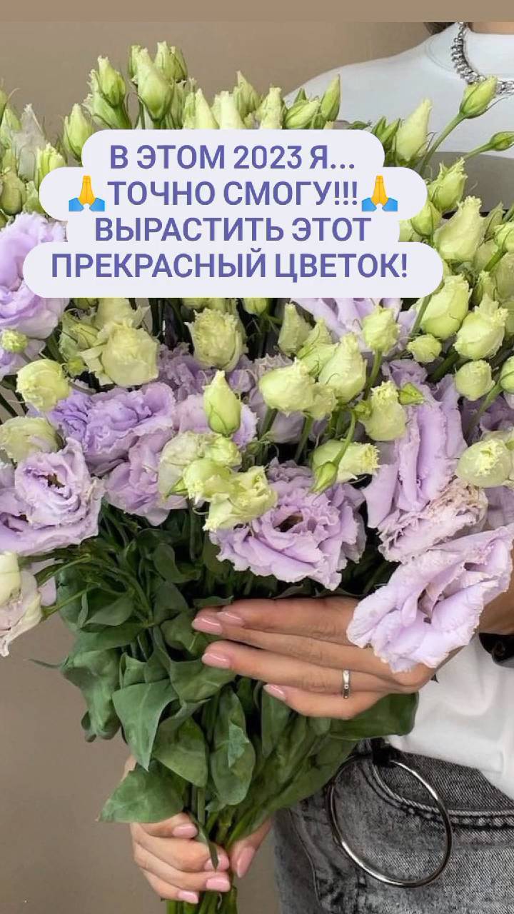 derevenskaia_hizn в LOOKY. #рилс_с_томой5,#рилс,#чудо,#огороднаяжизнь,#2023,#огород,#tomat_shcool. Здравствуй 2023год! ...