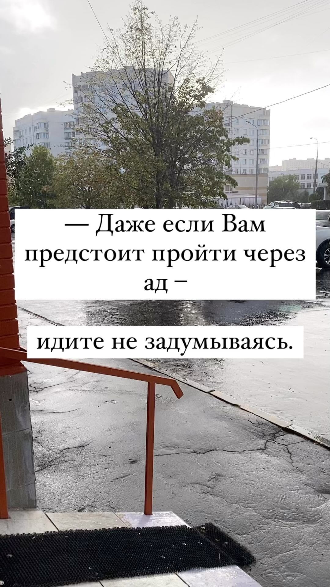 kat.rod.teacher в LOOKY. #reels,#reelsinstagram,#reel. #reels #reelsinstagr...