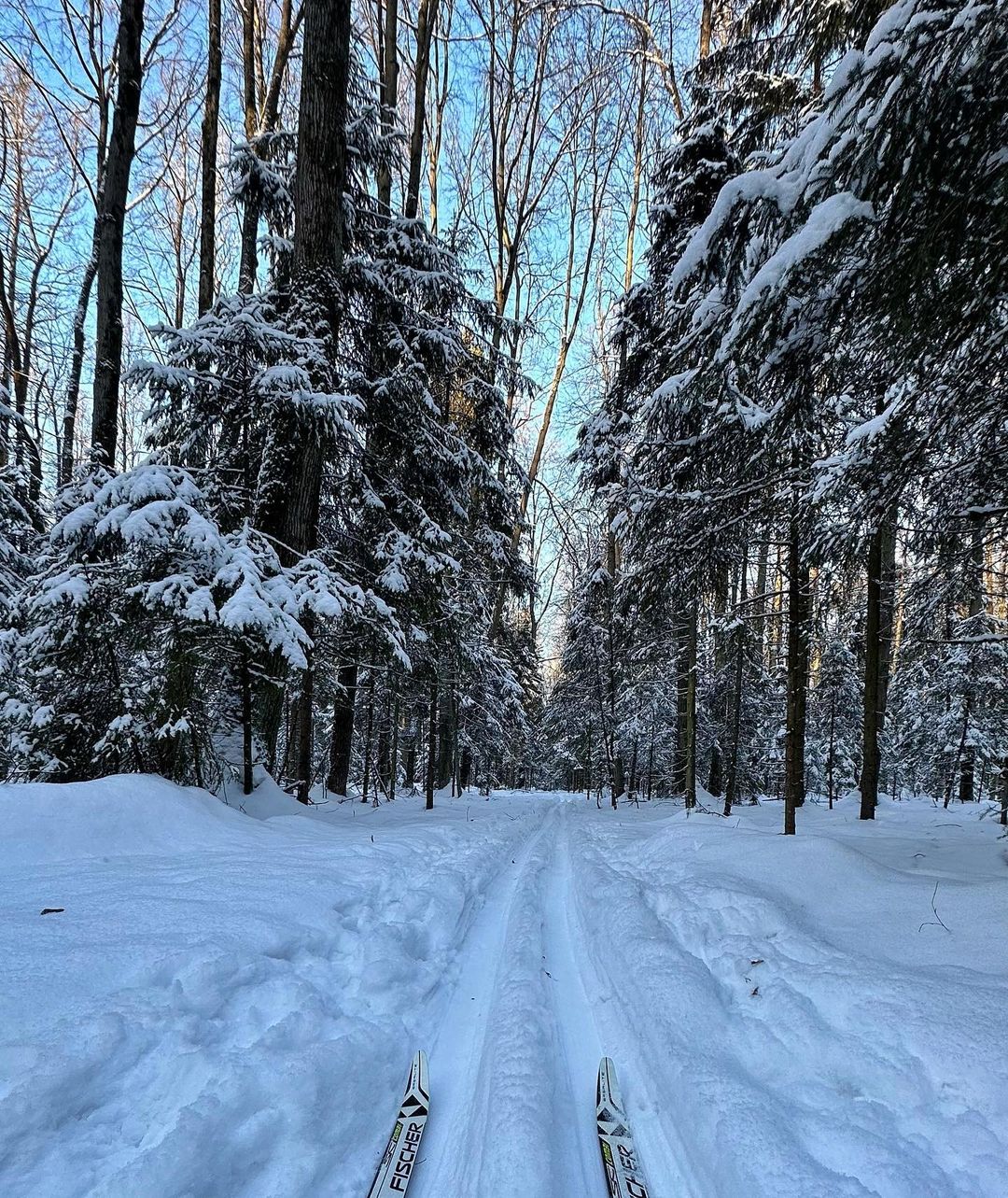 Говорят, доходило до –28°С 🥶
Зато на лыжне никого 😁