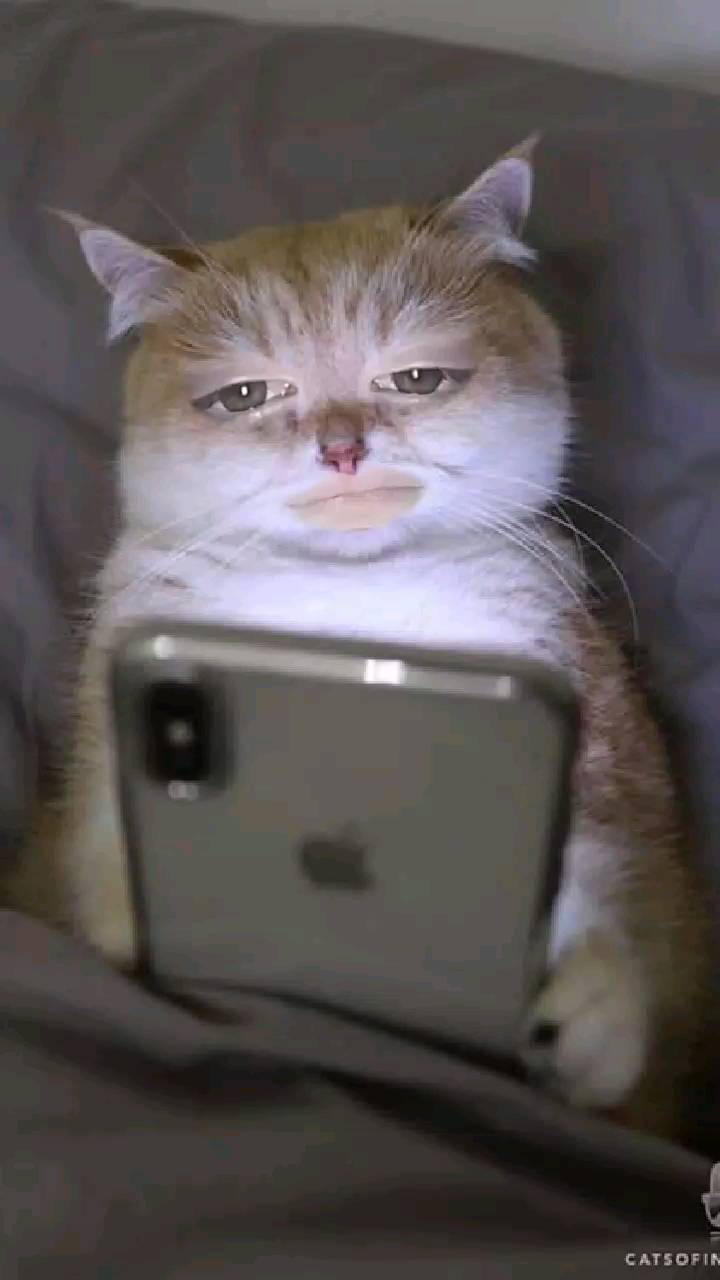 Ангелина Подонина в LOOKY. . Hello