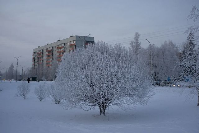 d4rk_r4bbit в LOOKY. #d4rk_r4bbit,#sonya,#winter,#winter2023,#2023,#snow,#cityphotography,#cityscape,#landscape,#frozen. ...

#d4rk_r4bbit #s...