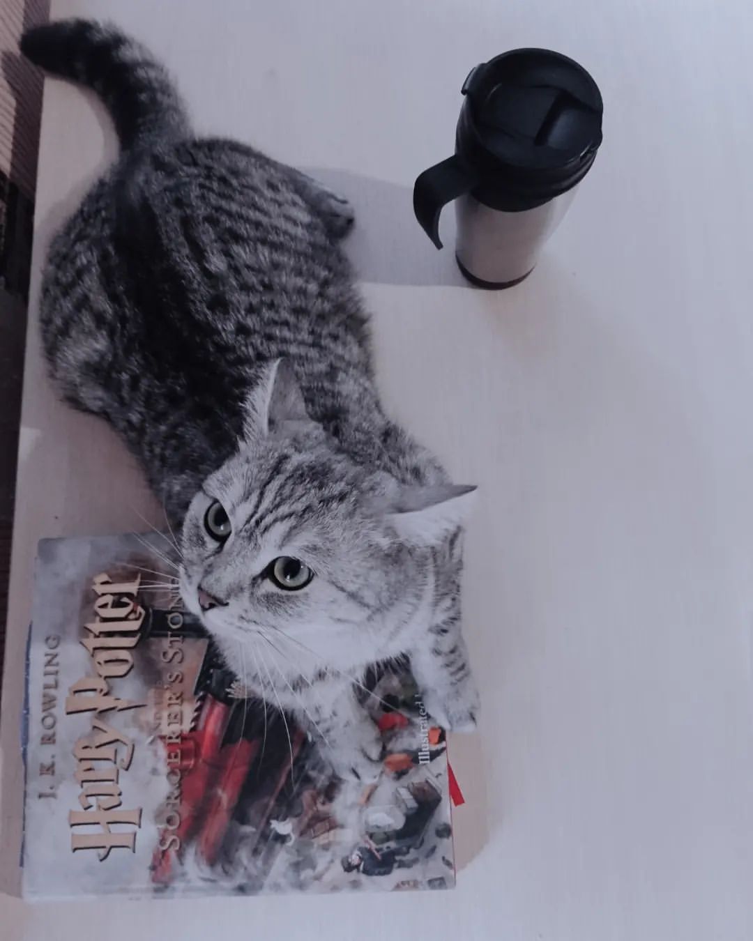 Є у друкованих книгах щось таке, від чого ми не можемо відмовитись.  Зовнішній вигляд, можливо запах старовини.

Є щось особливе у тому, щоб тримати книгу в руці, і щось живе у фізичному перевертанні сторінок.  Ці відчуття, мабуть, не можуть бути порівнянні з пікселями на екрані.

There is something about printed books that we cannot give up. The appearance, perhaps the smell of antiquity.

There is something special about holding a book in your hand, and something alive about physically turning the pages. These sensations probably cannot be compared with pixels on the screen.