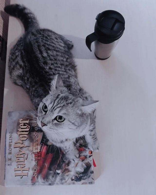 goodbye_lucky в LOOKY. . Є у друкованих книга...