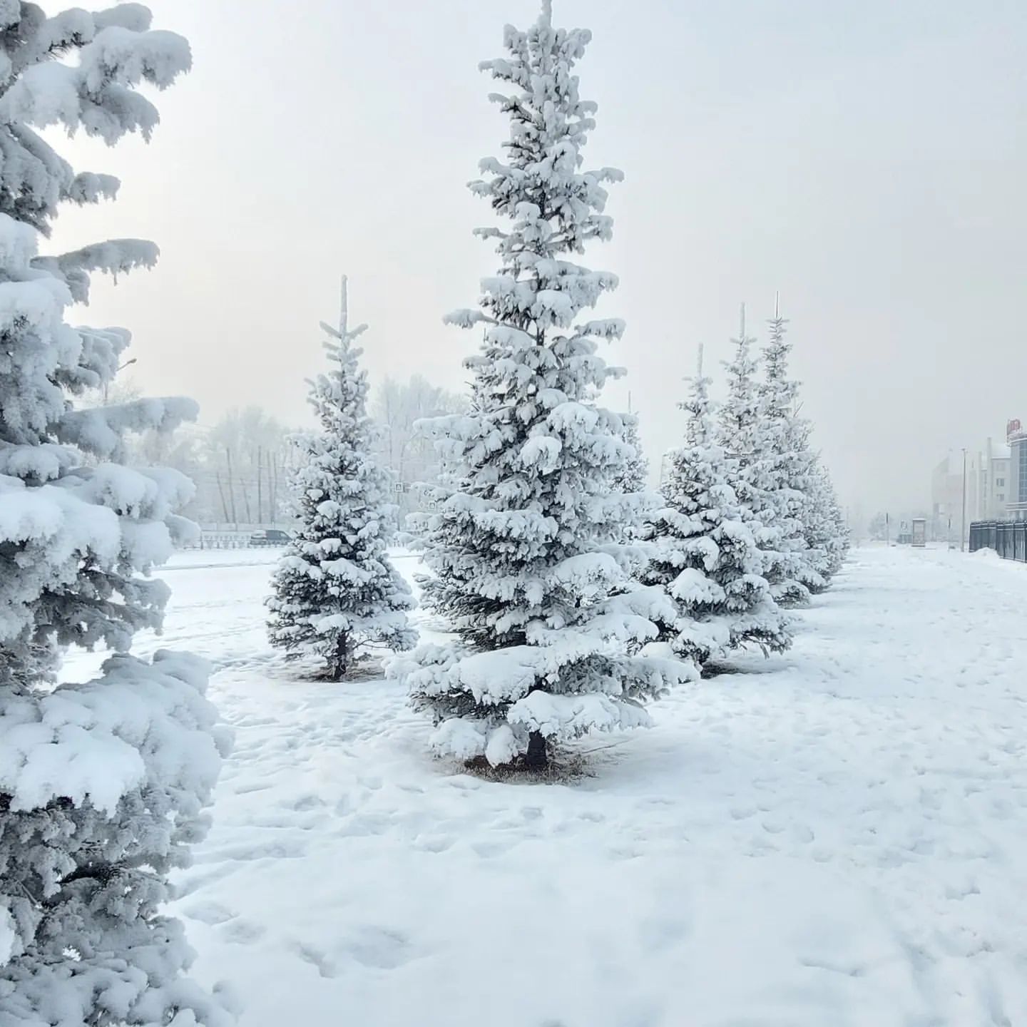 irina_zybenko в LOOKY. . Хочешь узнать в чем ...