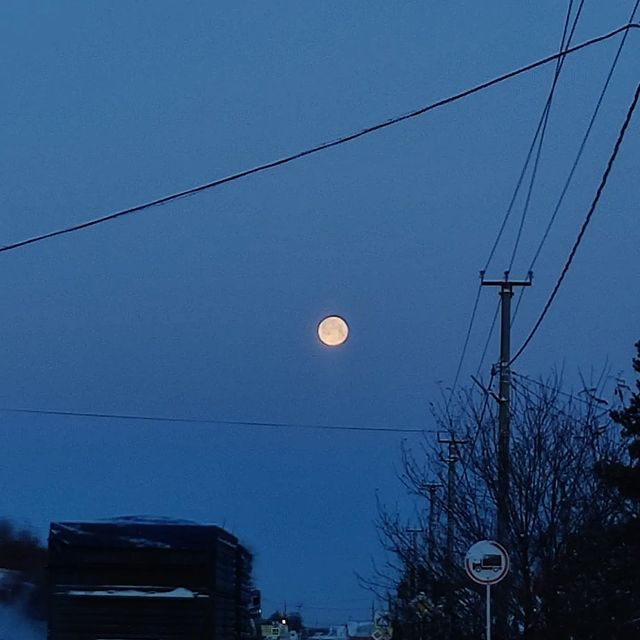 beast_coolfire в LOOKY. . null