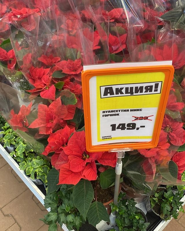 vkazani_sale в LOOKY. #скидкиказани#акции#распродажа#вказани#obi. Obi 🛍️
.
#скидкиказ...