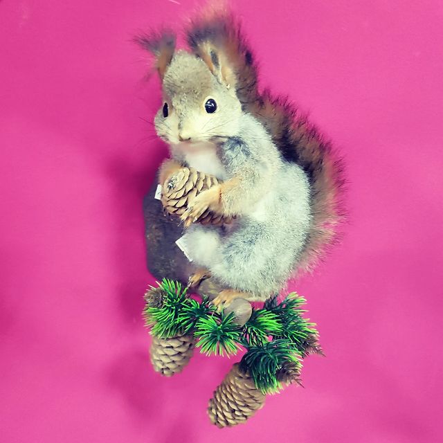 nastynachka в LOOKY. . Антикварная лавка ✨☺...