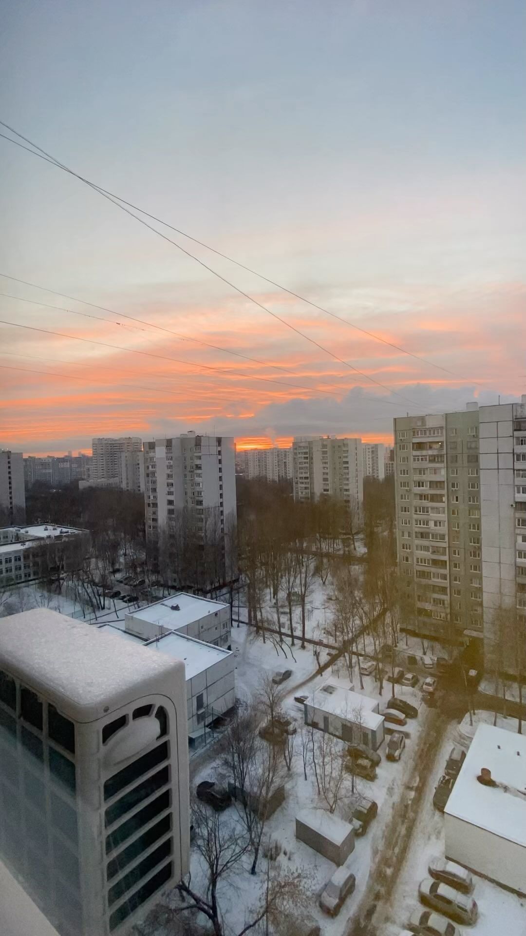 nazalatypova в LOOKY. . null